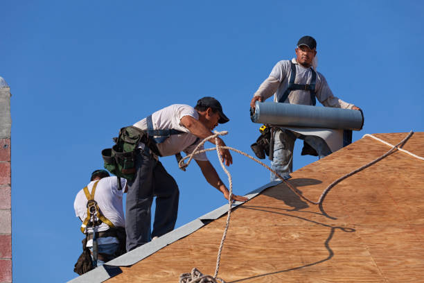 Best Roof Waterproofing Services  in Churchill, MT